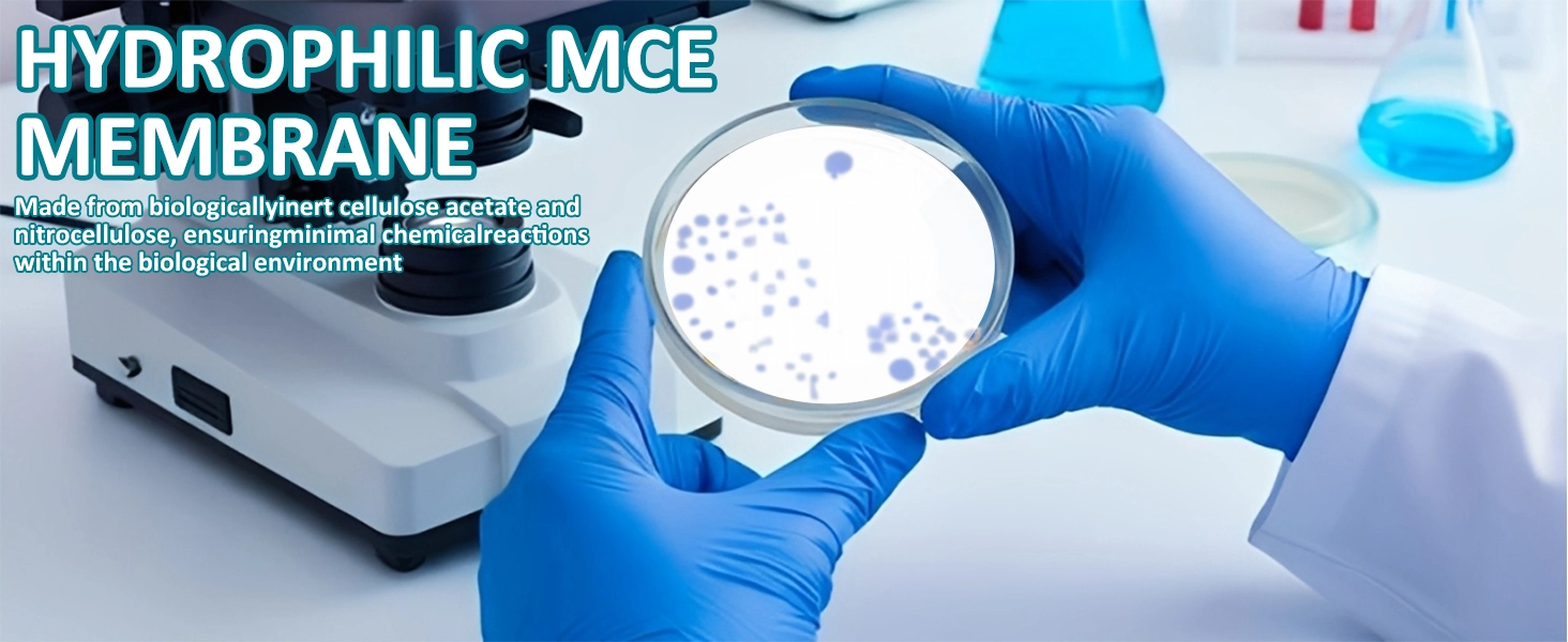 Hydrophilic MCE Membrane Filter being used for microbiological analysis and colony counting.