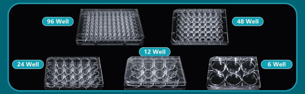 Multi-well plate collection overview