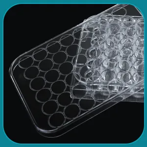 Optical clarity features