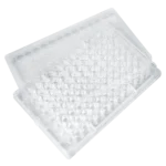 24-well cell culture plate